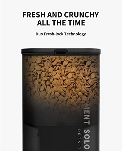 Automatic Cat Feeder