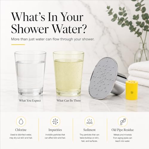 Filtered Shower Head