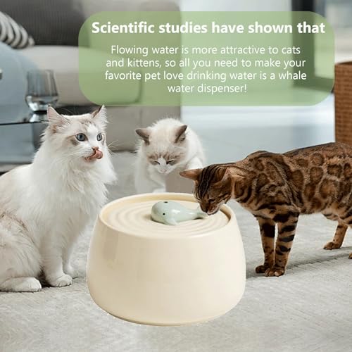 Ceramic Pet Feeding and Drinking Bowls