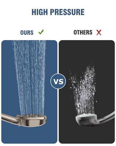 Filtered Shower Head with Handheld Brushed Nickel