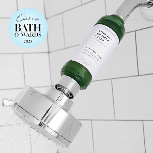 Vitamin C Shower Filter (2 Count)