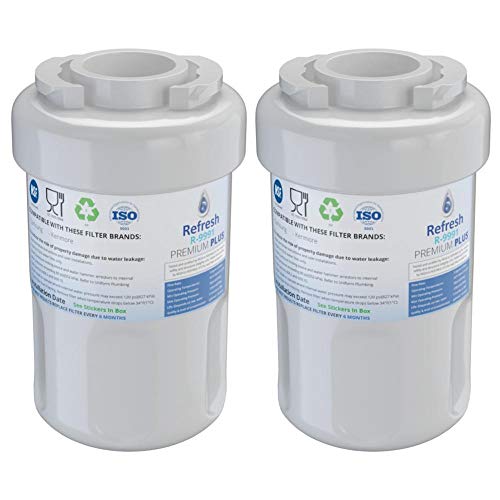 Refresh Refrigerator Water Filter Replacement for GE MWF (2 Count)