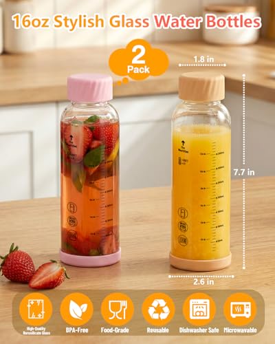 Glass Water Bottles with Stainless Steel Lid 16 oz (2 Count)