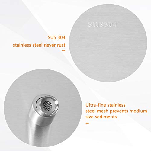 Shower Head with Extension Arm