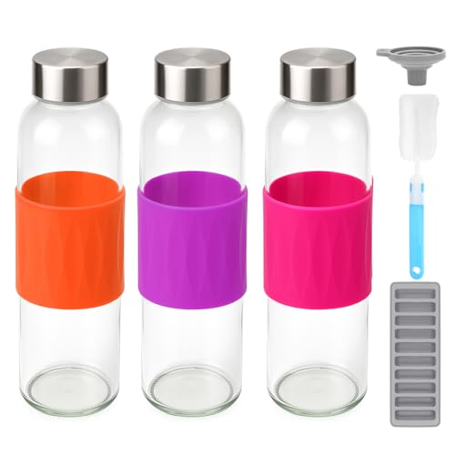 18oz Glass Juice Bottles with Stainless Steel Lids Leak Proof 3 Pack (3 Count)
