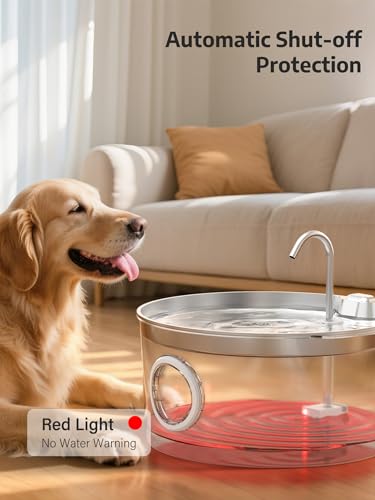 3.4Gal Dog Water Fountain for Large Dogs