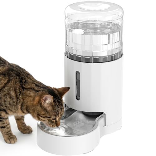 Cat Water Dispenser with Stainless Steel Bowl