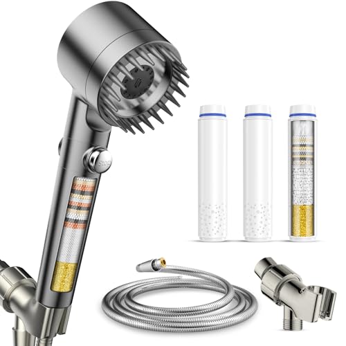 Filtered Shower Head with Handheld (3 Count)