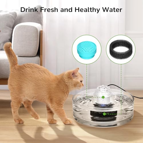 6 Packs Cat Fountain Filters & 6 Sponge Sets (3 Count)