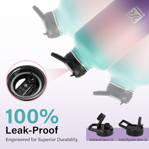 Insulated Water Bottle