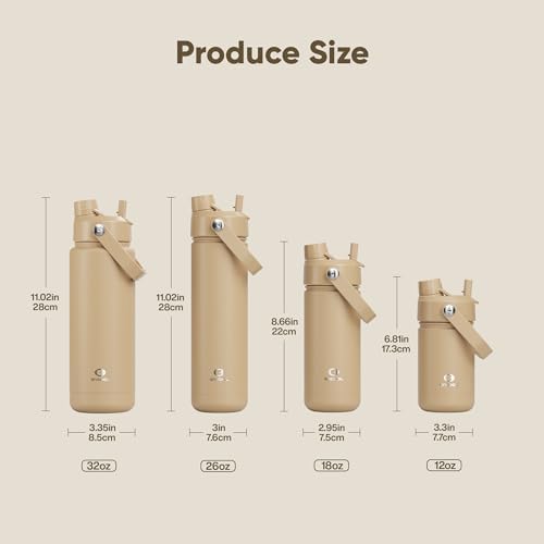 Insulated Water Bottle with Straw Stainless Steel Water Bottle