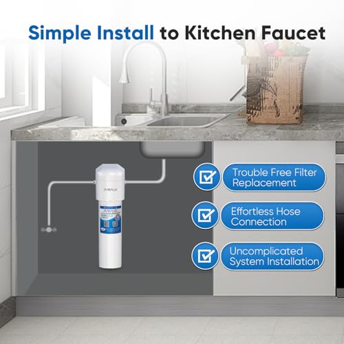 Under Sink Water Filter System