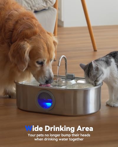 3.4Gal Dog Water Fountain for Large Dogs