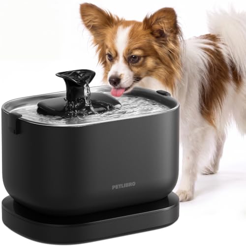 Small Dog Water Fountain