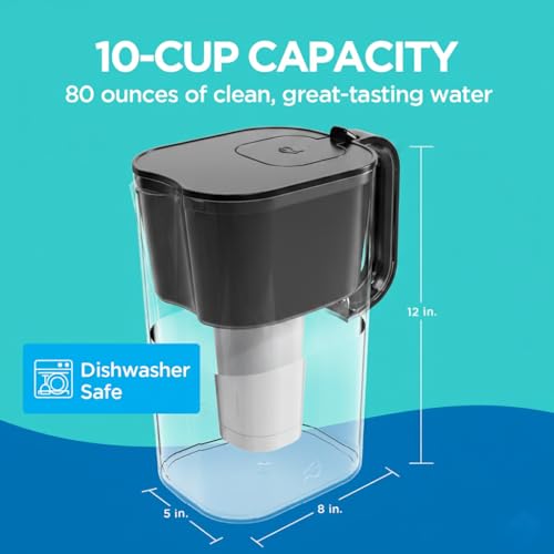 HOMEWATER 10 Cup Pitcher Filter
