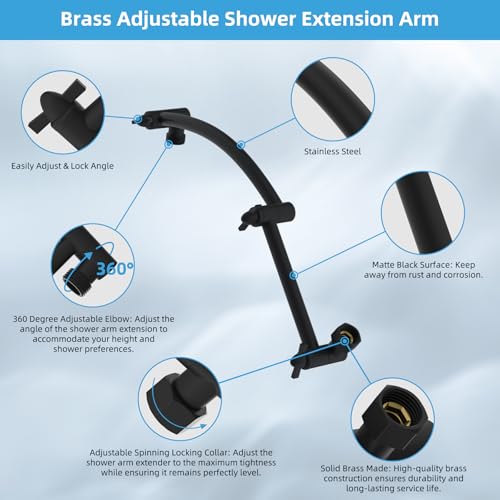 10'' Filtered Rain Shower Head with 16'' Extension Arm