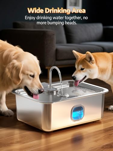 4.2Gal Dog Water Fountain for Large Dogs