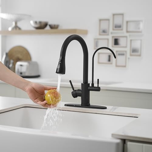Black Kitchen Faucets with Water Filter and Pull Down Sprayer
