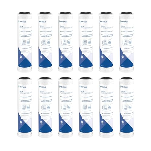 Pentair Pentek CBC (12 Count)