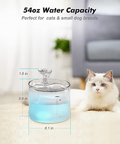WF100 Cat Foutain