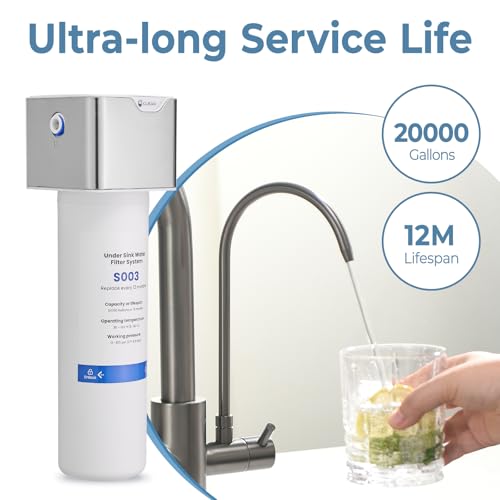 3 in 1 Kitchen Faucet with Water Filter and Pull Down Sprayer