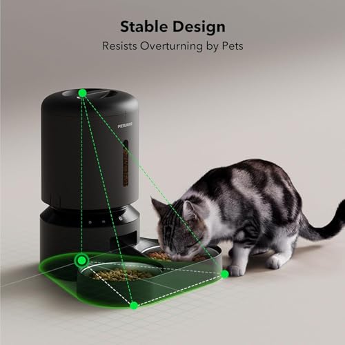 Automatic Cat Feeder for 2 Cats