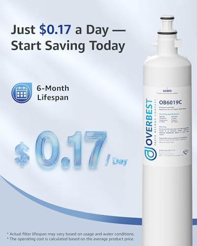 OB6019C Water Filter Replacement for GE® RPWFE® (2 Count)