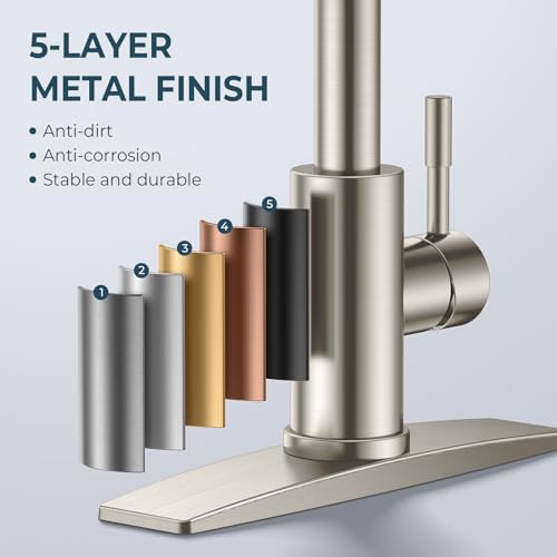 Kitchen Faucet and Water Filter Faucet Combo