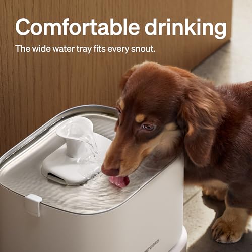 Quiet Dog Water Fountain Stainless Steel Tray