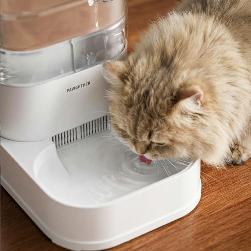 6Pack Filters for PAWGETHER Gravity Pet Water Dispenser Cat Waterer Filter Keep Water Fresh and Clean (60 Count)