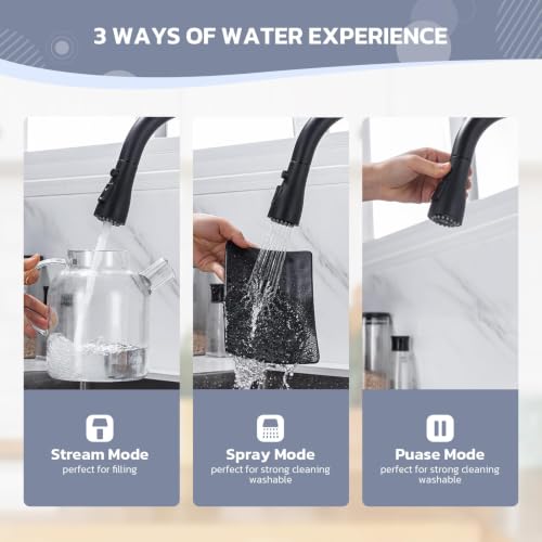 Kitchen Faucet with Soap Dispenser