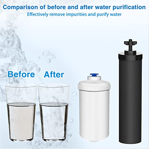 Water Filter Replacement Compatible with Ber (8 Count)