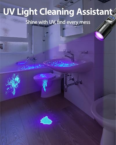 Black Light Flashlight