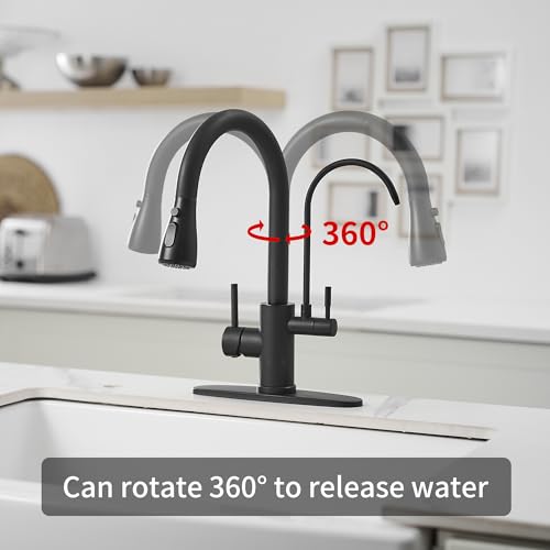 Black Kitchen Faucets with Water Filter and Pull Down Sprayer