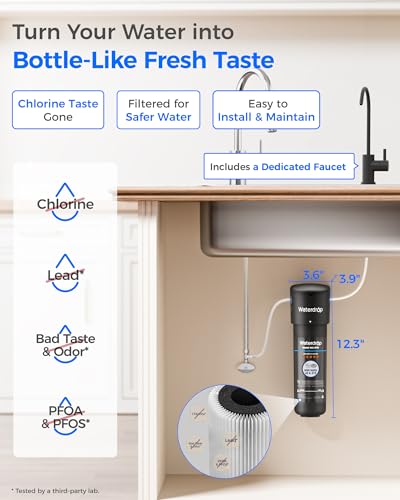 10UB B Under Sink Water Filter System with Dedicated Black Faucet