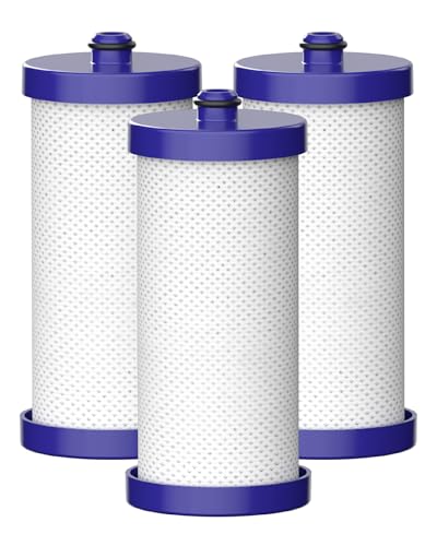 WF1CB Refrigerator Water Filter (3 Count)