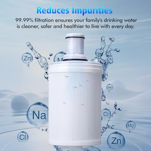 100186 Original Water Filter Replacement Cartridge Compatible with Amway Espring