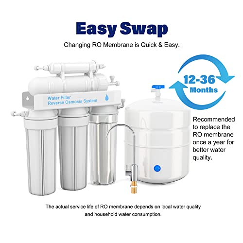 150 GPD RO Membrane Filter Replacement (2 Count)