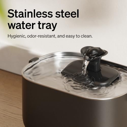 Small Dog Water Fountain