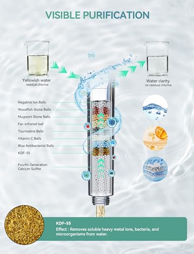 Filtered Shower Head with Handheld