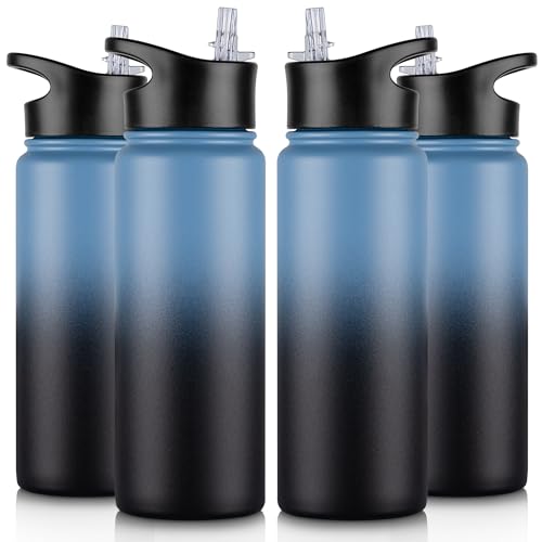 24 oz Insulated Water Bottle Bulk 4 Pack (4 Count)