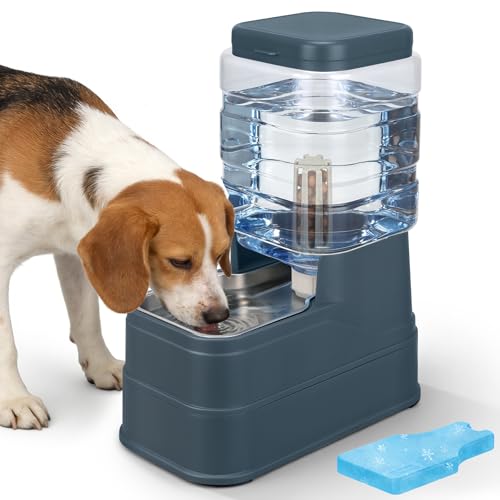 Auto Dog Water Dispenser with Stainless Steel Bowl Feeder for Pets