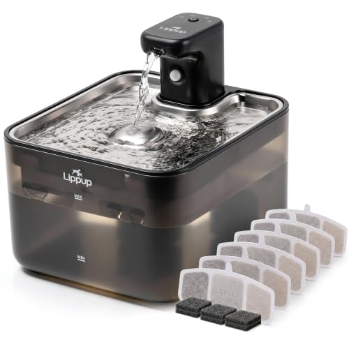 Cat Water Fountain Cordless