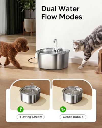 Cat Water Fountain