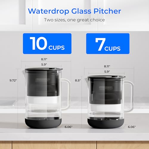 PT-09BL 10-Cup Large Glass Water Filter Pitcher, Eco-Friendly