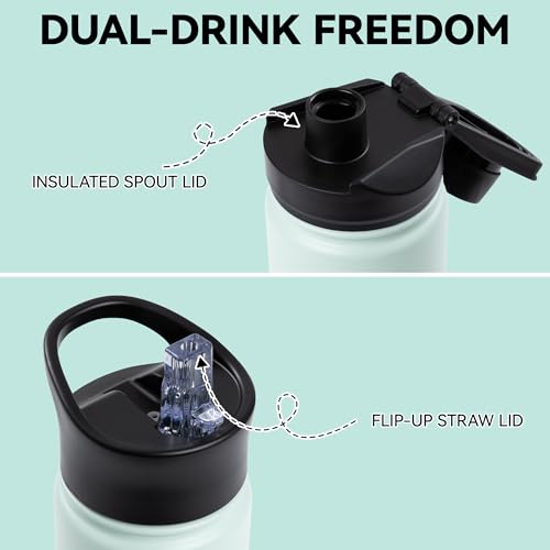 16 oz Insulated Water Bottle Bulk 8 Pack (8 Count)