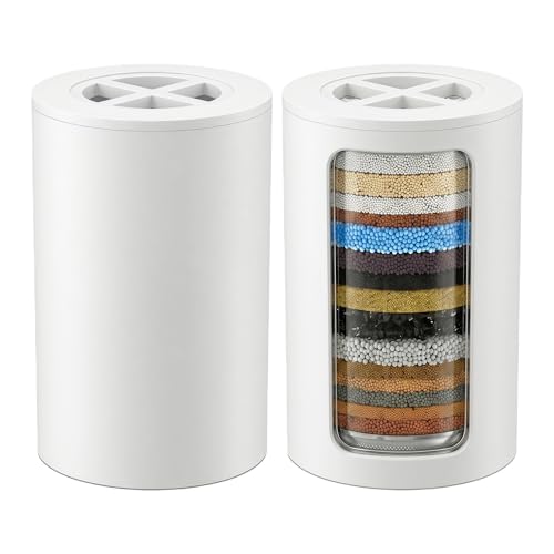 A01 Shower Filter Compatible with Afina Filtered Shower Head (2 Count)