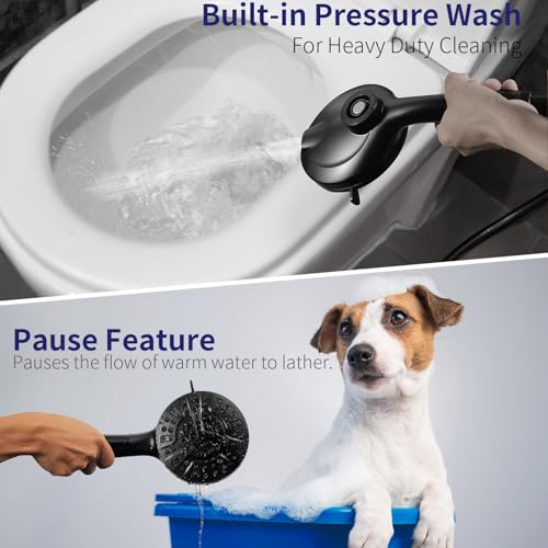 Filtered Shower Head with Handheld
