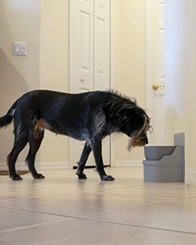 Automatic Pet Water Bowl