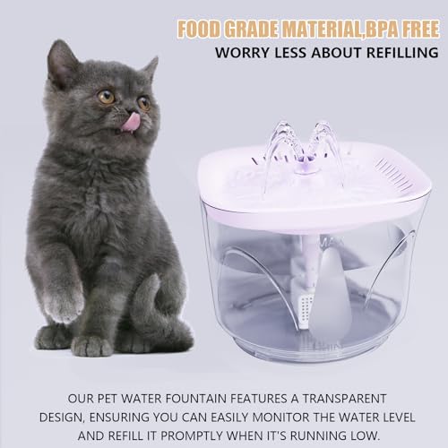 Cat Water Fountain